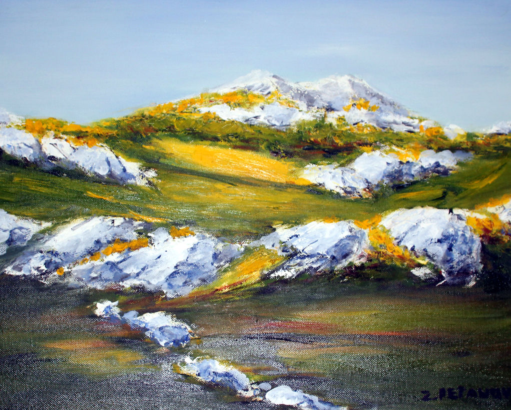 Zvonko Petanović Slavonski Brod